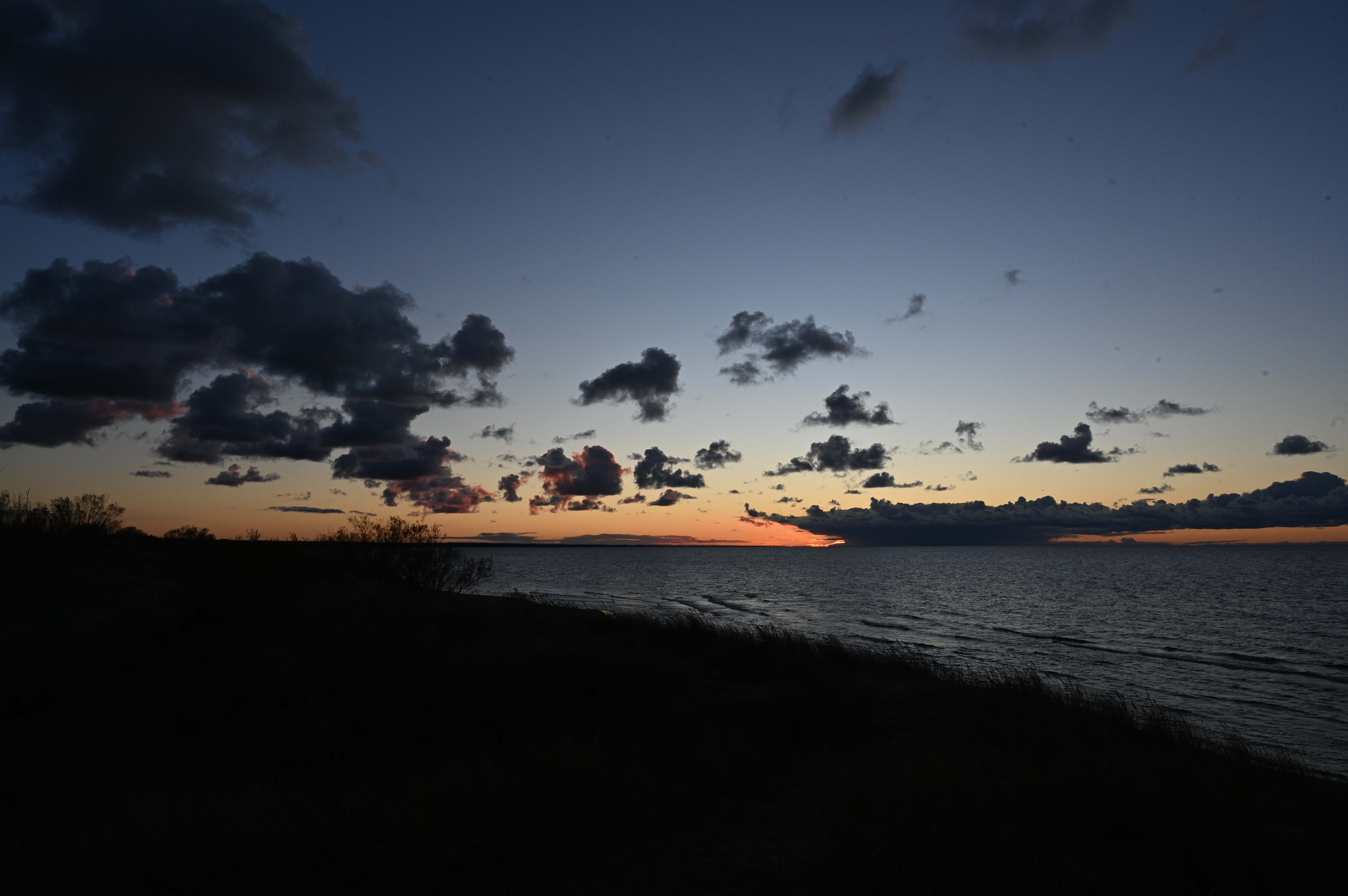 2025/10/18 - walk/DSC_0514.JPG